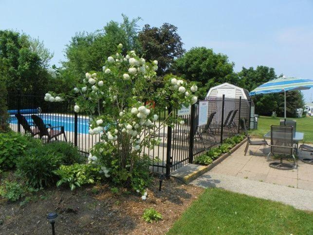 Lakeview Motel & Cottage Кинкардин Экстерьер фото